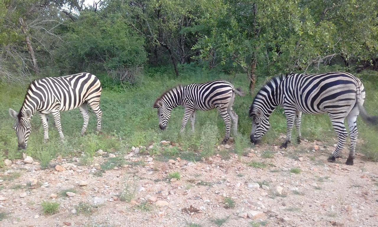 Nanisto Bush Lodge Marloth Park Exterior foto